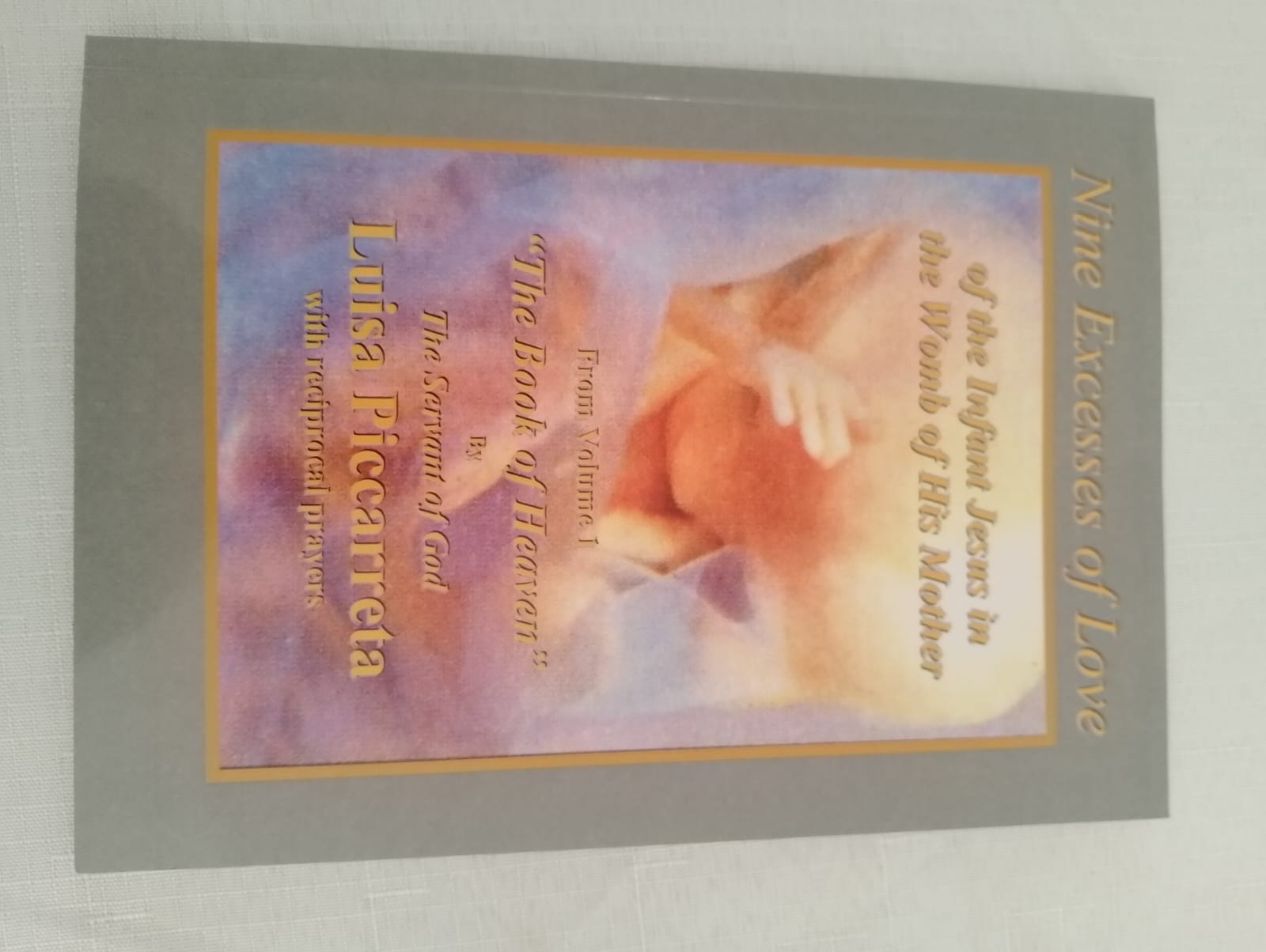 The Nine Excesses of Love: Of The Infant Jesus in the Womb of His Mother - Paperback - By Servant of God Luisa Piccarreta