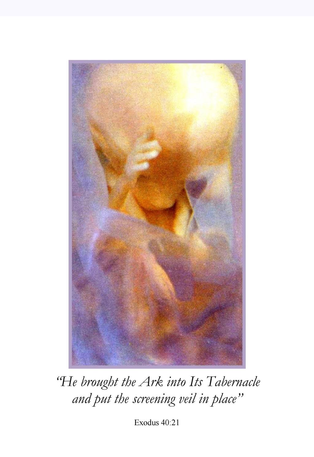 The Nine Excesses of Love: Of The Infant Jesus in the Womb of His Mother - Paperback - By Servant of God Luisa Piccarreta
