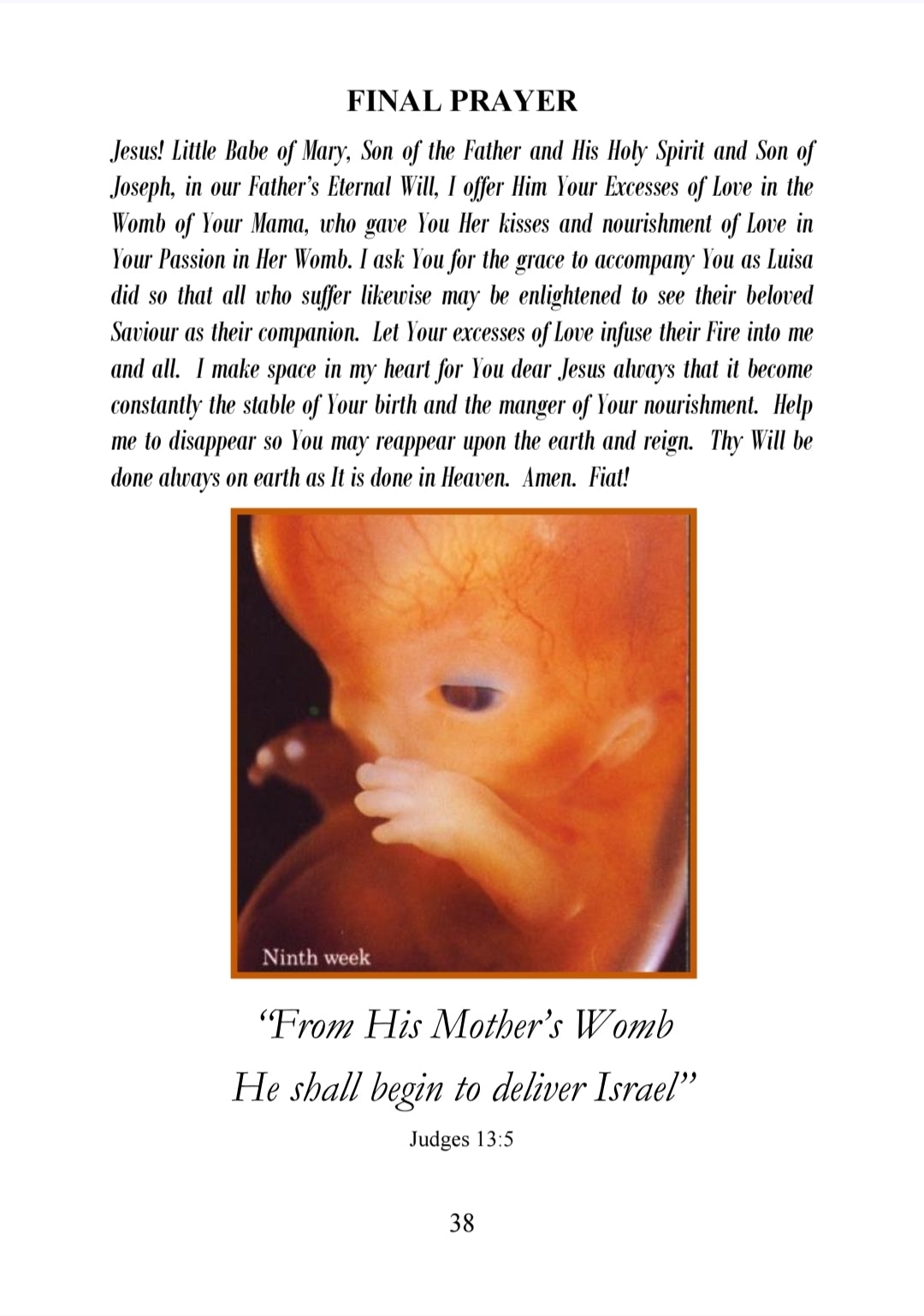 The Nine Excesses of Love: Of The Infant Jesus in the Womb of His Mother - Paperback - By Servant of God Luisa Piccarreta