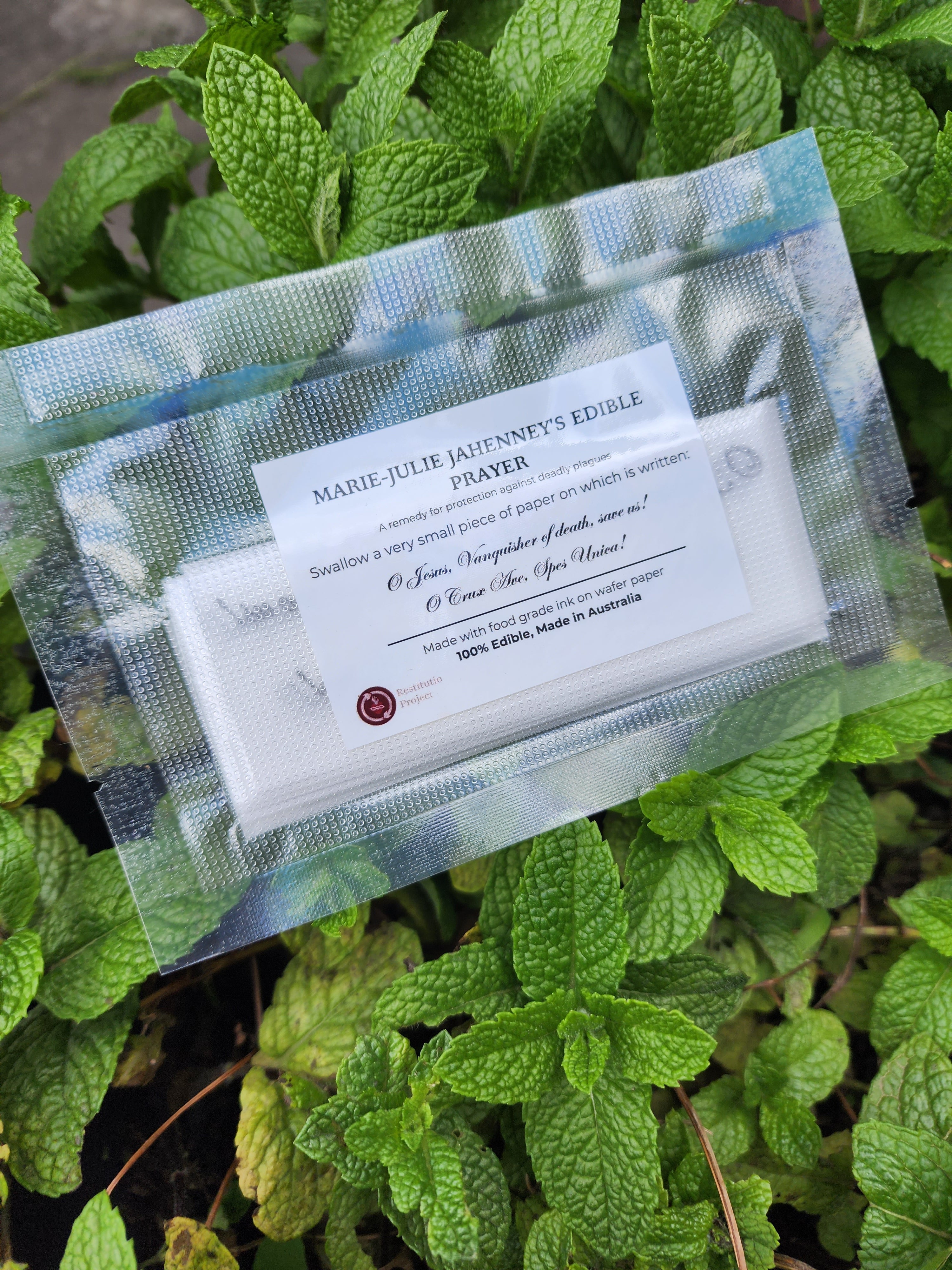 Edible Prayer Cards (12 Pack) | Marie-Julie Jahenny Remedy