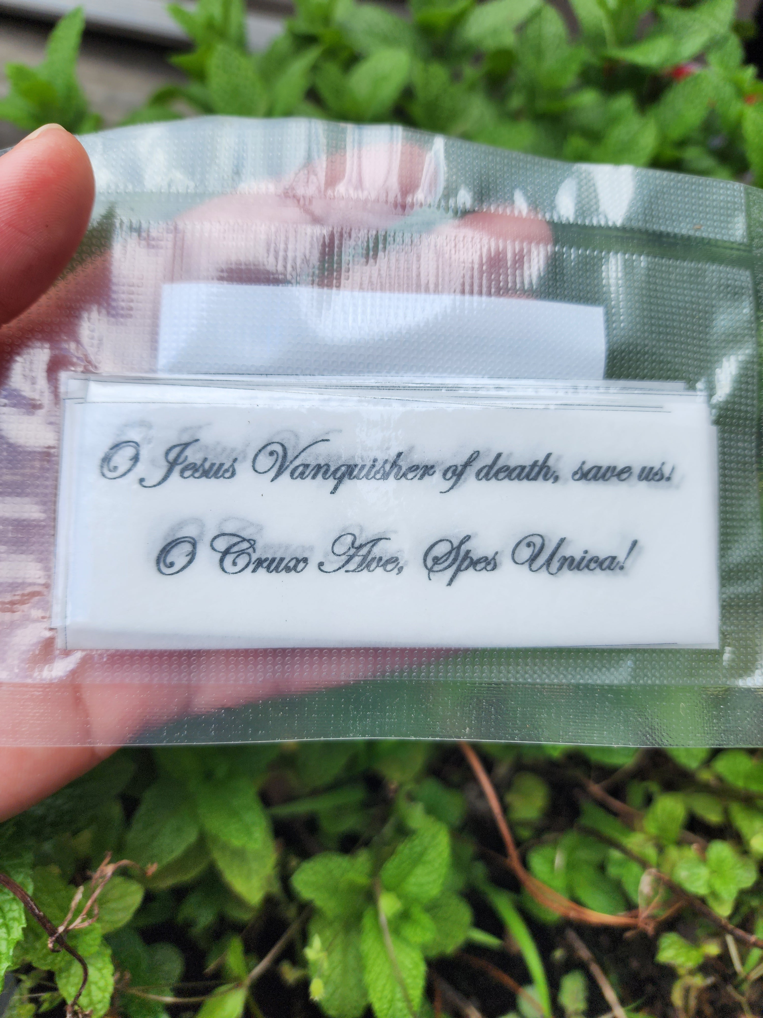 Edible Prayer Cards (12 Pack) | Marie-Julie Jahenny Remedy